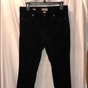 LOFT Outlet Velvet Dress Pants